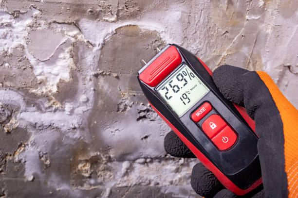 Best Emergency Mold Remediation in Hays, MT
